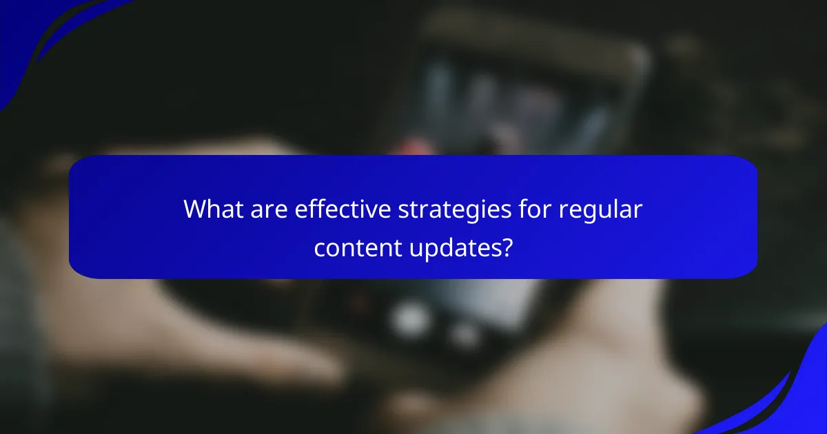 What are effective strategies for regular content updates?