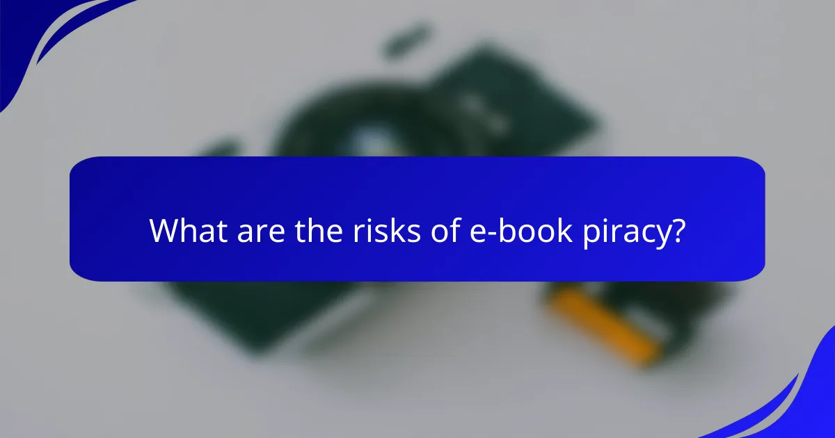 What are the risks of e-book piracy?